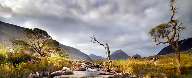 The Myrtle, Gairloch - 